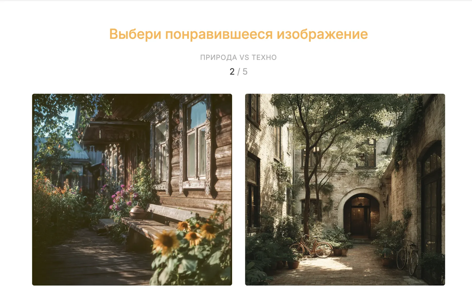 Тест визуальных предпочтений в Stylefinder: природа или техно